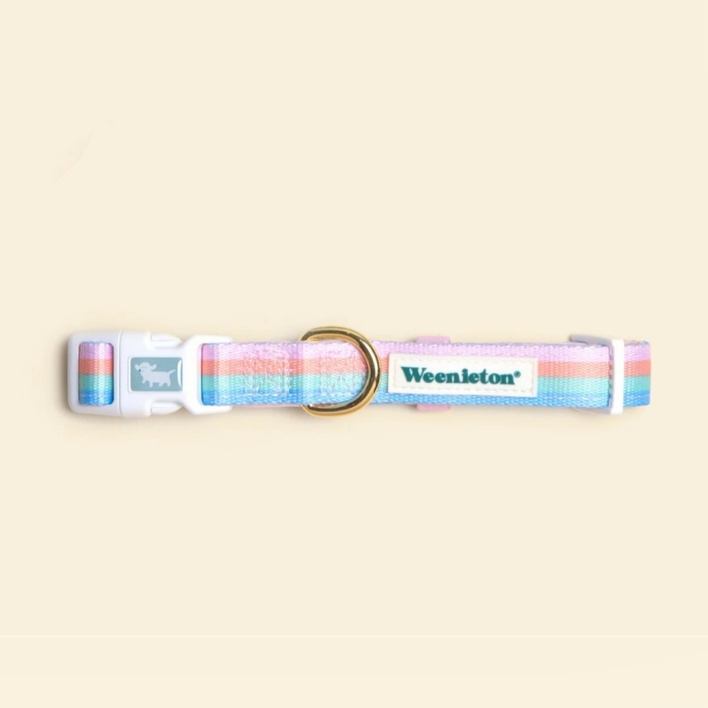 Collar Weenbow Small Dogs Weenieton